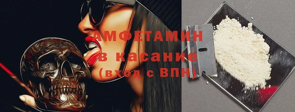 индика Арсеньев