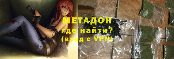 индика Арсеньев