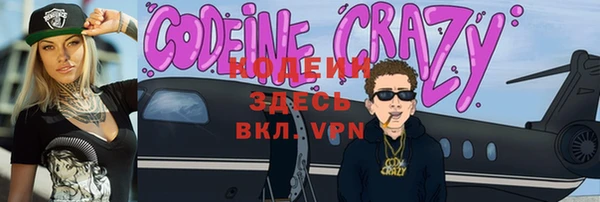 индика Арсеньев