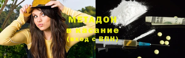 индика Арсеньев