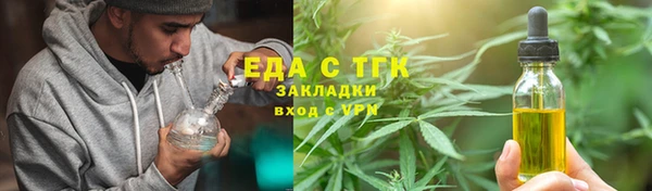 индика Арсеньев