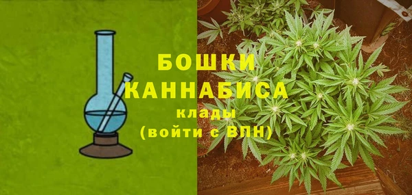 индика Арсеньев