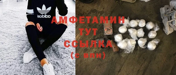 индика Арсеньев