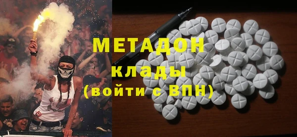 индика Арсеньев