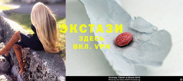 индика Арсеньев
